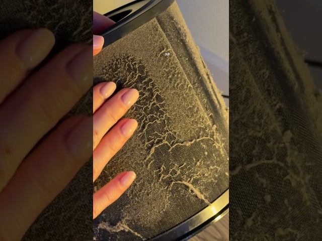 Превью видеоролика