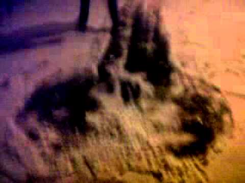 Ross and Rory in the snow pt1