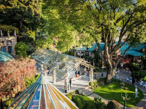 Shepstone Gardens: The story of a home and a garden