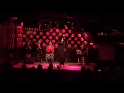 Lorena oliva : Solea