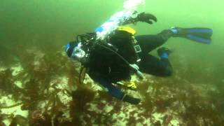 preview picture of video 'ULSAC: Frank diving off the Aran Islands'