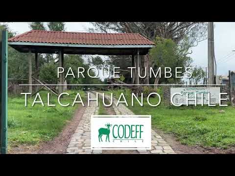 Parque Tumbes CODEFF