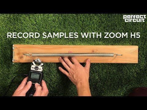 Zoom H5 Portable Field Recorder Sampling (With Cat!)