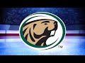 bemidji state men s hockey bests bowling green at home for 3rd consecutive win lakeland news