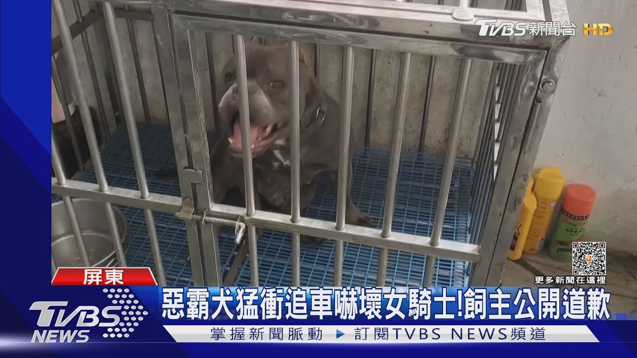 惡霸犬衝街猛追機車!女騎士嚇壞 飼主公開道歉