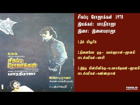 சிகப்பு ரோஜாக்கள் (1978) இளையராஜா இசைப்படங்கள்-Sigappu Rojakkal / Ilayaraja Music TAMIL SONG HQ