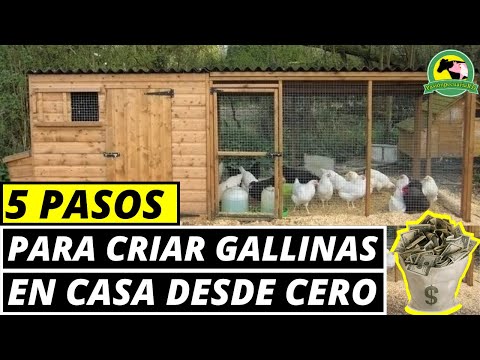 , title : 'Cómo CRIAR Gallinas Ponedoras En CASA (Paso A Paso)'