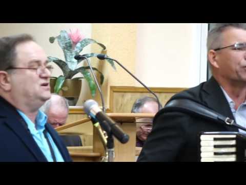 Colaj - Grupul Maslinul Hateg (2017)