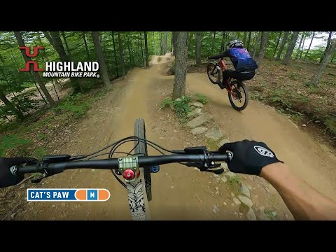 Cat's Paw Rider's View