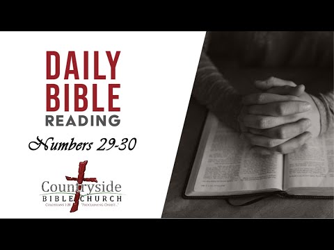 DBR: Numbers 29-30
