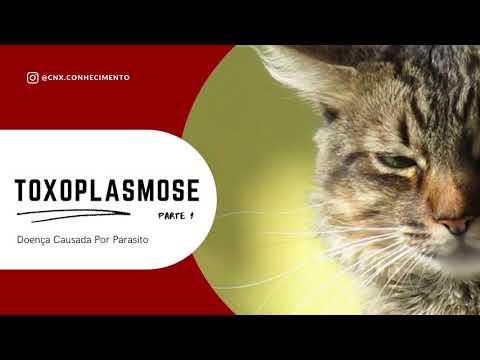 DOENÇAS CAUSADAS POR PARASITAS | TOXOPLASMOSE - PARTE 1
