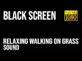 Relaxing Walking On Grass Sound 1 Hour Grass Noise Walking On Grass Noise