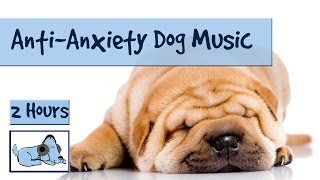 Music for Dogs and Puppies. Help your Anxious Dog to Sleep and Calm Down. Cure Dog Anxiety!