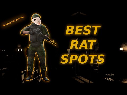 RAT SPOTS OF CUSTOMS ● Escape From Tarkov  ● Tarkov