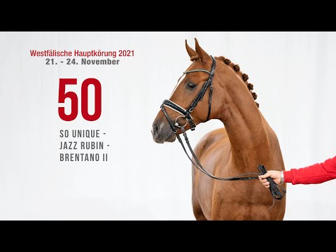 Hauptkörung 2021 Reitpferdehengste Kat-Nr. 50  So Unique - Jazz Rubin - Brentano II