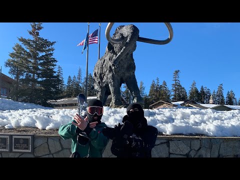 Mammoth Bool [DISCO DAYS #10]