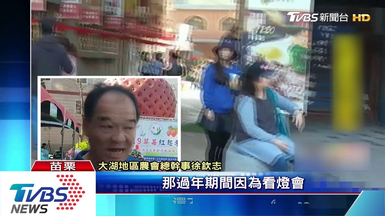 連假避塞!北遊客不遠征 就近苗栗採草莓