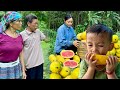 Single mother: Pao's mother finally knows the identity of baby Bon -Yellow watermelon, unique flavor