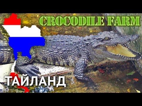 Крокодиловая Ферма + Шоу крокодилов (Паттайя)