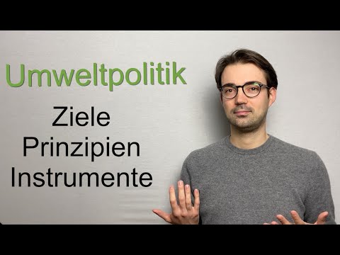 Staatliche Umweltpolitik | Ziele, Prinzipien und Instrumente einfach erklärt