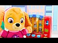 Paw Patrol Snuggle Pups Complete! Best One Hour Toy Learning Video