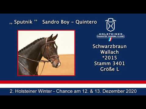 2. Holsteiner Winter-Chance | Nr. 43 Sputnik Turnierimpression