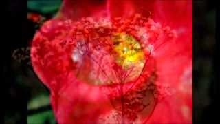 Relaxing Ambient Music - Full Mix #1 (Dec 2013)