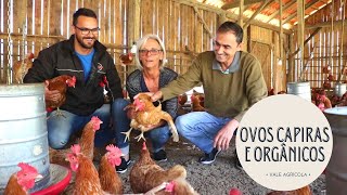 Miniatura do vídeo