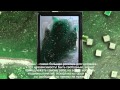 Мехди Эбрагими Вафа Живопись 