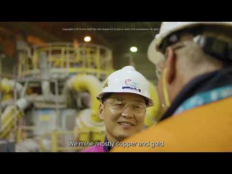 Discover how LINATEX® Premium Rubber Bolt-In Moulded Panels enhanced wear life by 81%