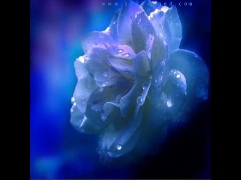 SOFT   RELAXING MUSIC