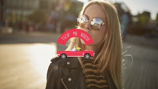 Half An Orange - Stems