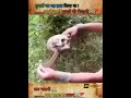 राजपूतों की तलवार ️ Shivajimaharaj Maharanapratap