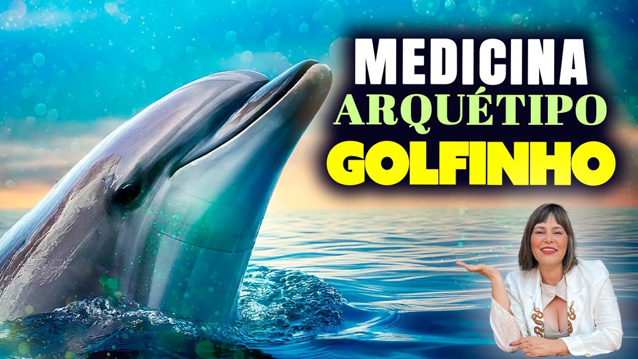 Medicina do Golfinho | Tudo sobre o Animal de Poder e Alinhamento dos Chakras!