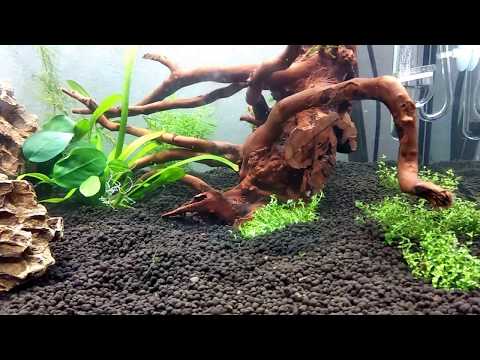 Watch Video on YouTube