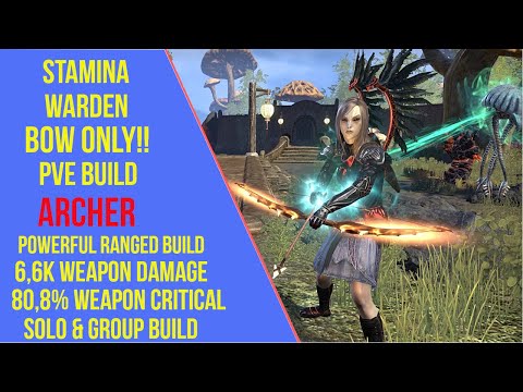 ESO Stamina Warden Bow PVE Build - Archer - Blackwood