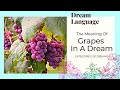 Meaning Of Grapes and Vineyards In Dreams | Biblical & Spiritual Meanings Of Dreams