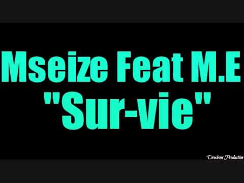 - Mseize feat Niska & Skaodi - Sur-Vie -