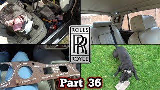 Surprise Guest helping on the Interior - Rolls Royce Silver Spirit