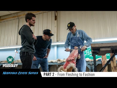 Nebraska Coyote Series: From Fleshing to Fashion - Understanding the Fur Market