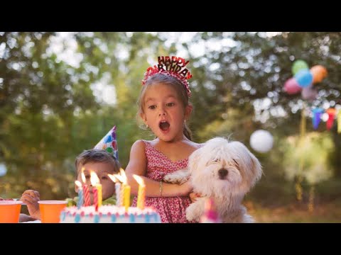 Birthday song videos #nastya birthday song #children musik #kidssong #horia singing # it’s Hoil