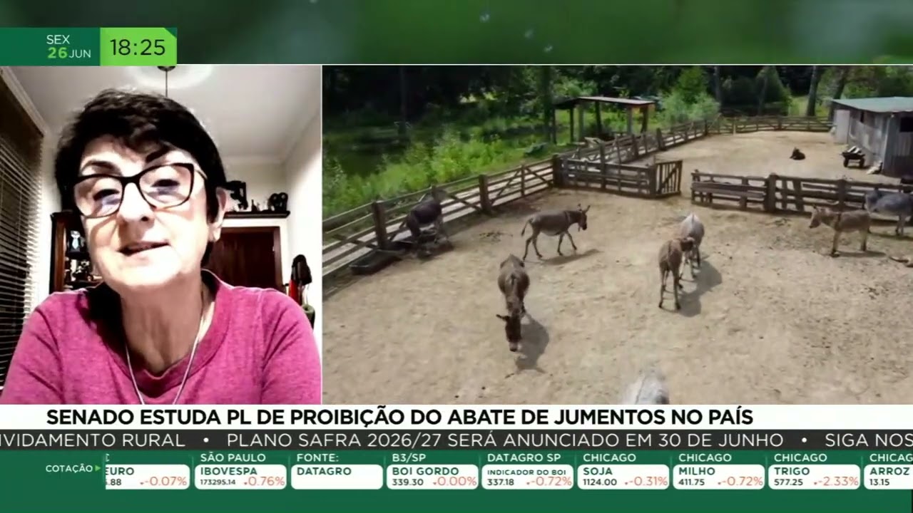 Senado estuda PL de proibição do abate de jumentos no país