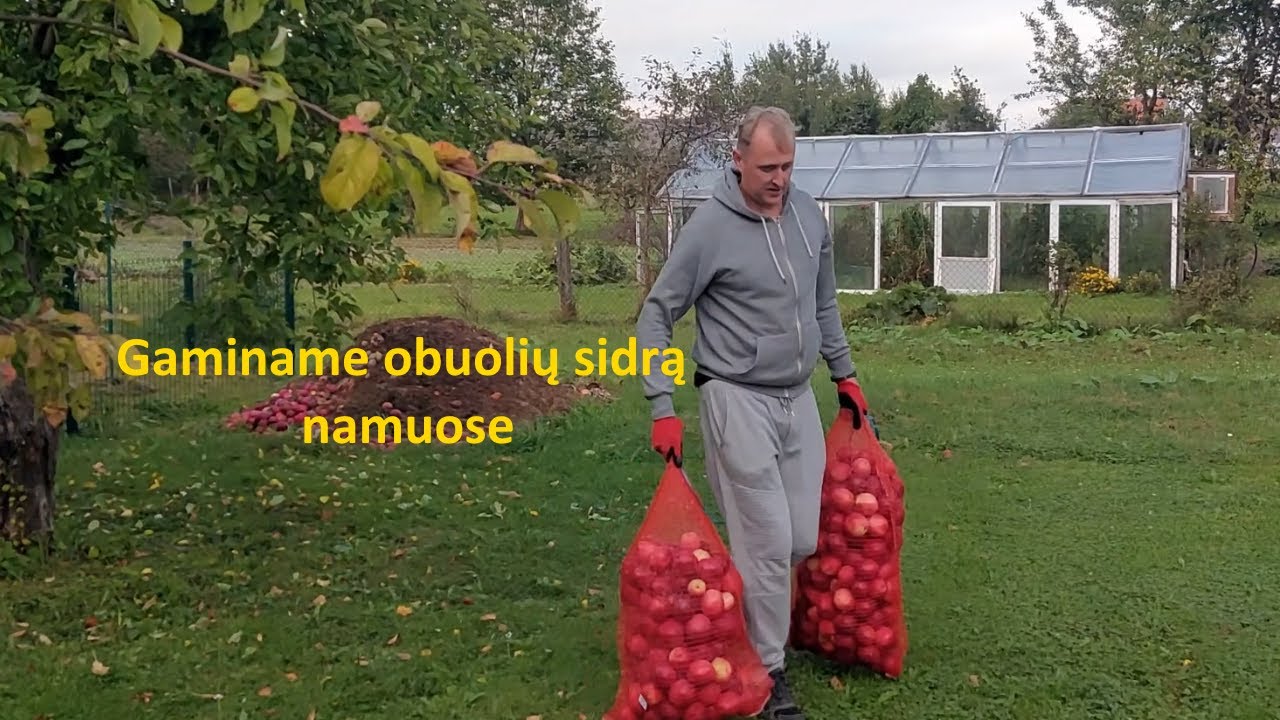 Obuolių sidro gaminimas namuose. 1 dalis