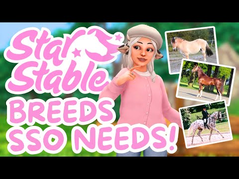 11 Breeds We NEED In Star Stable!