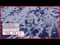 Mr. Blue - Yazoo | Synth Cover