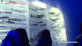 preview picture of video '2014 千歳・支笏湖氷濤まつり 　Lake Shikotsu Ice Festival 2014'