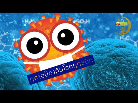 คลิกเพื่อดูคลิปวิดีโอ