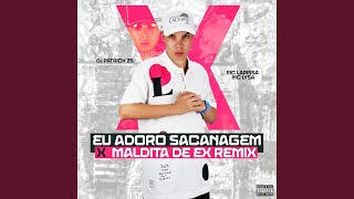 Download lagu Eu Adoro Sacanagem X Maldita de Ex Remix mp3