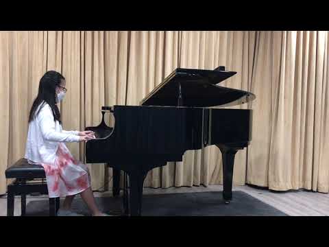 To catch a dream by Martha Mier