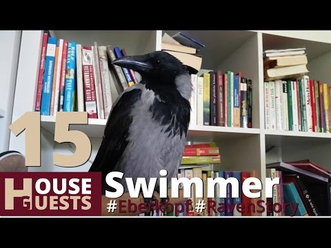 RavenStory No. 15 Rudi ... is taking a Bath